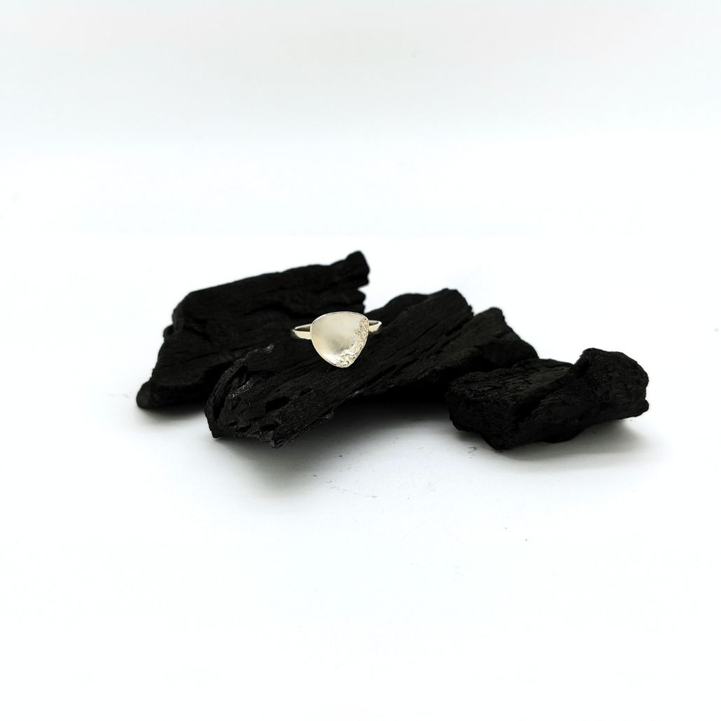 Changer ses intentions - Bague S