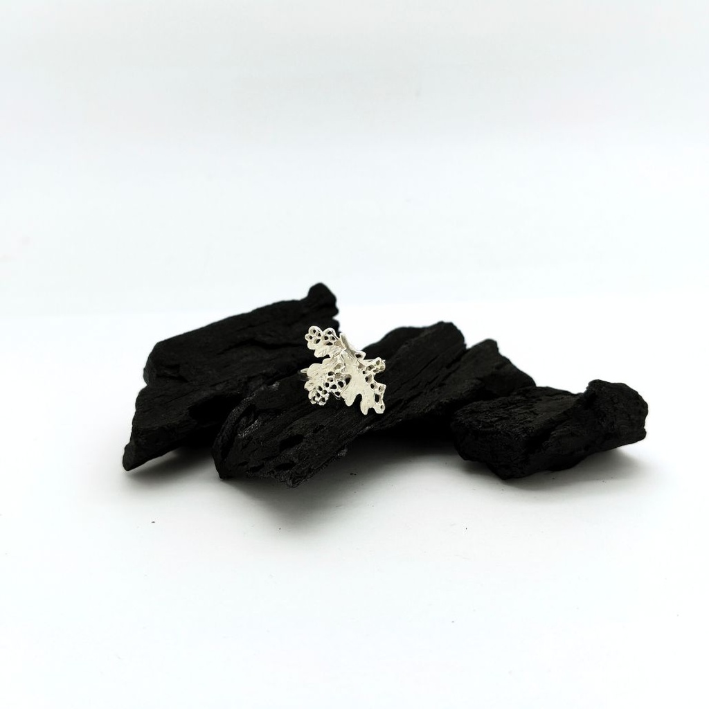 Cycle - Bague