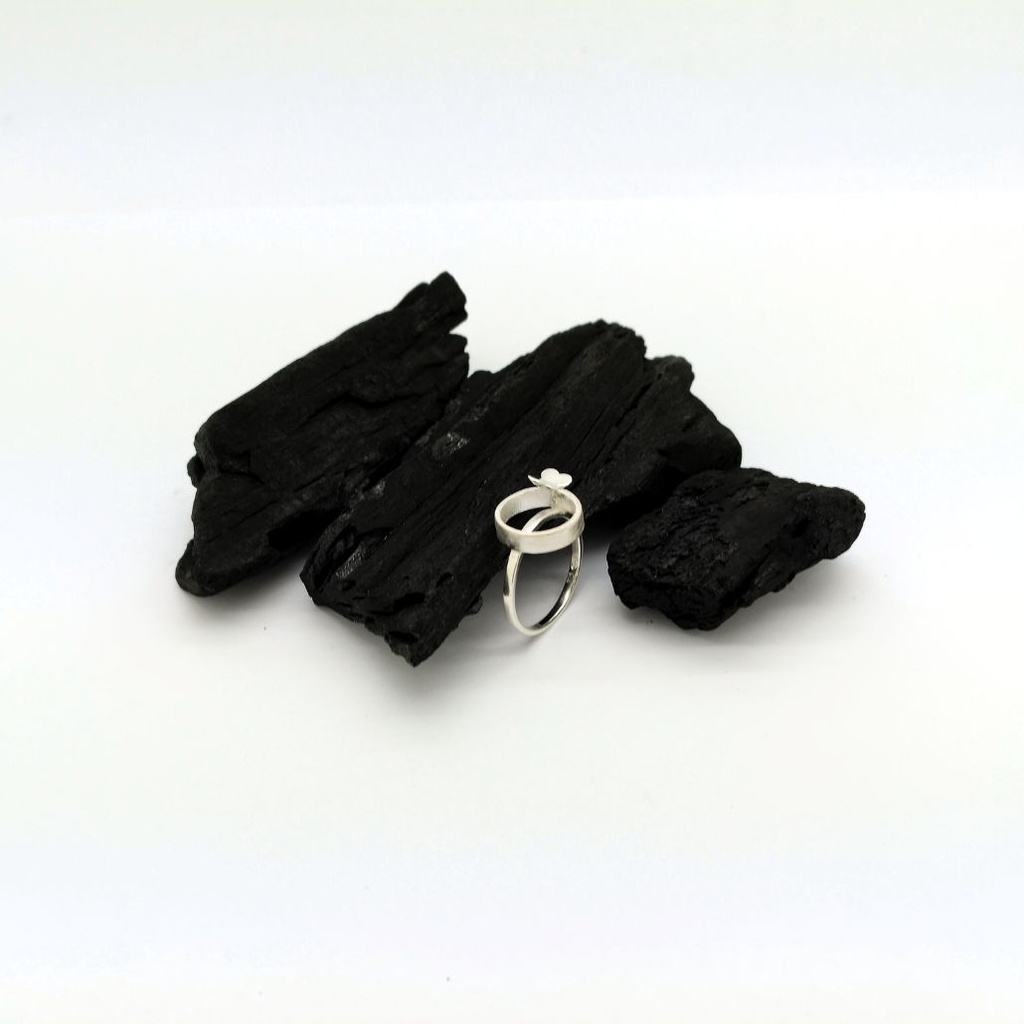 Métamorphose - Bague