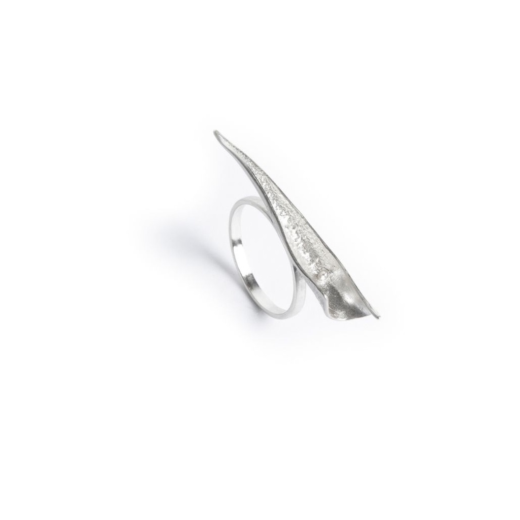 Een beetje waanzin -  Ring XL