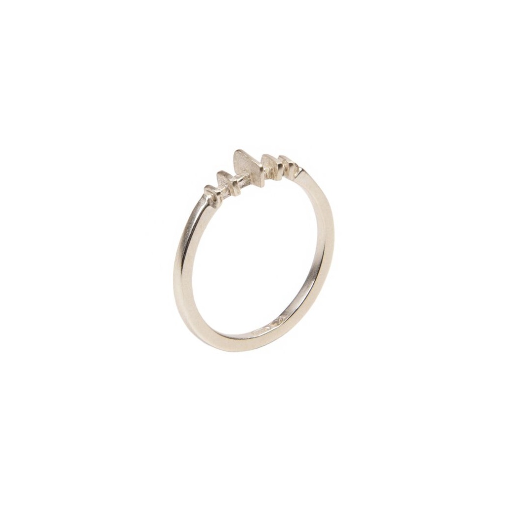 Mijn tempel, Mijn ziel - Ring met horizontaal thema