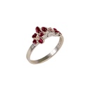 Plezier - Ring S