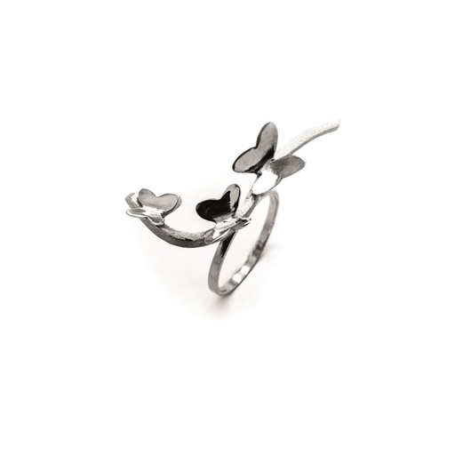 Envol - Bague