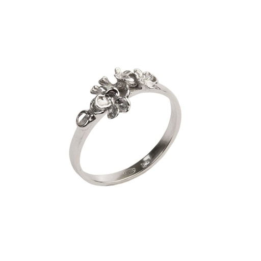 Les liens - Bague